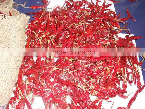 Export quality S-17 Stemless Teja chilly.