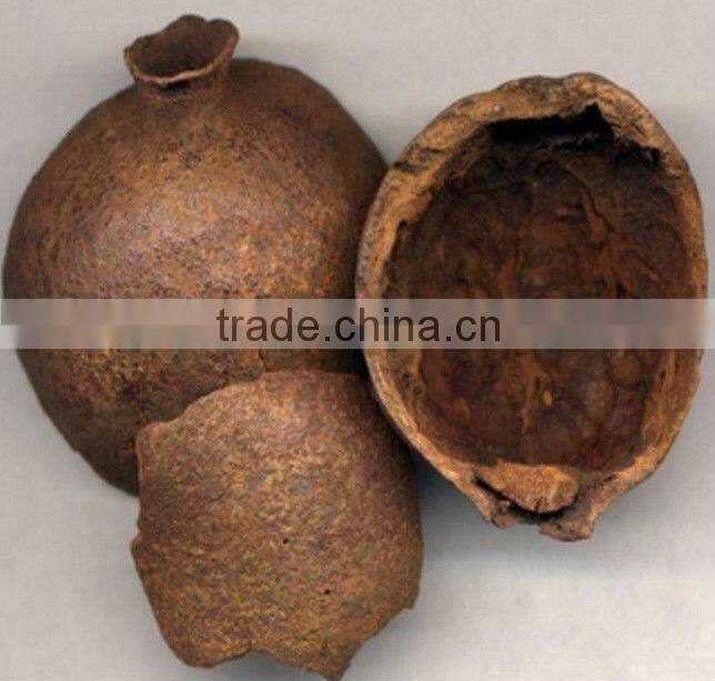 GMP Manufacturer Supply Natural Pomegranate Extract with Punicalagin