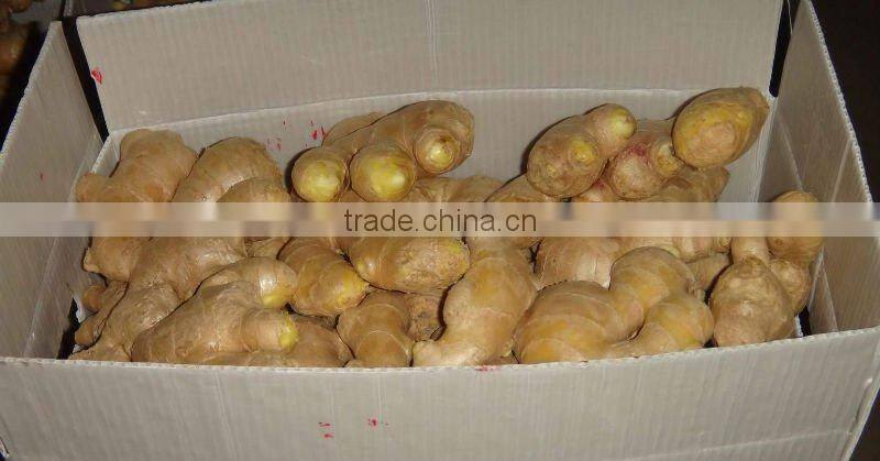 Fresh air dried ginger