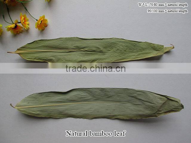 dried Bamboo leaf