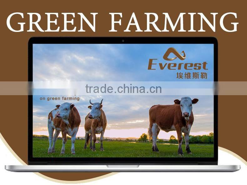 Environmental Highconcentrated Free Sample Branch Chain High Soluble amino acid for poultry feed