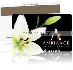 OEM magnetic strip VIP card with signature