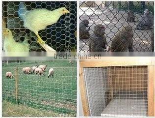 2016 Alibaba hot sale /low price and high quality /hexagonal wire netting/chicken mesh from Anping factory