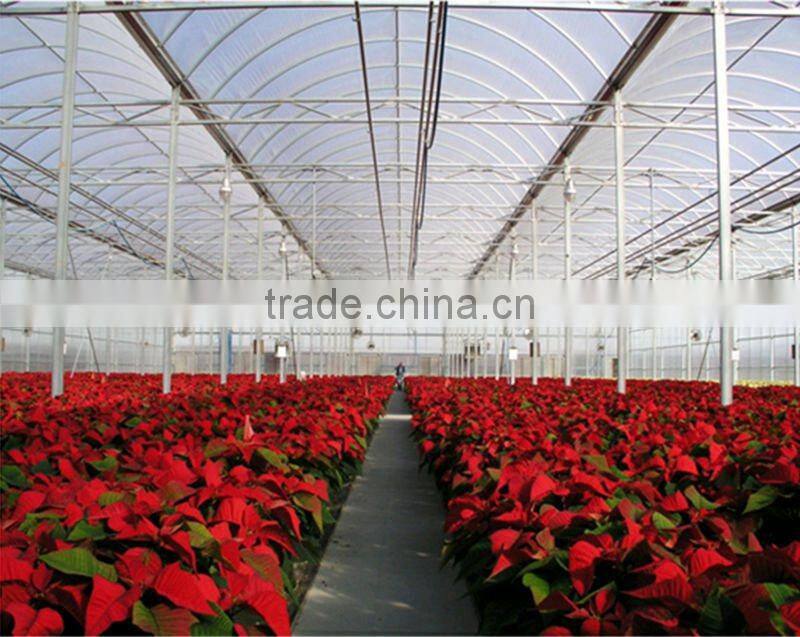 Polycarbonate Sheet Greenhouse for Flowers