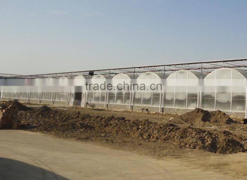 Commercial used High roof multi-span hydroponic greenhouse