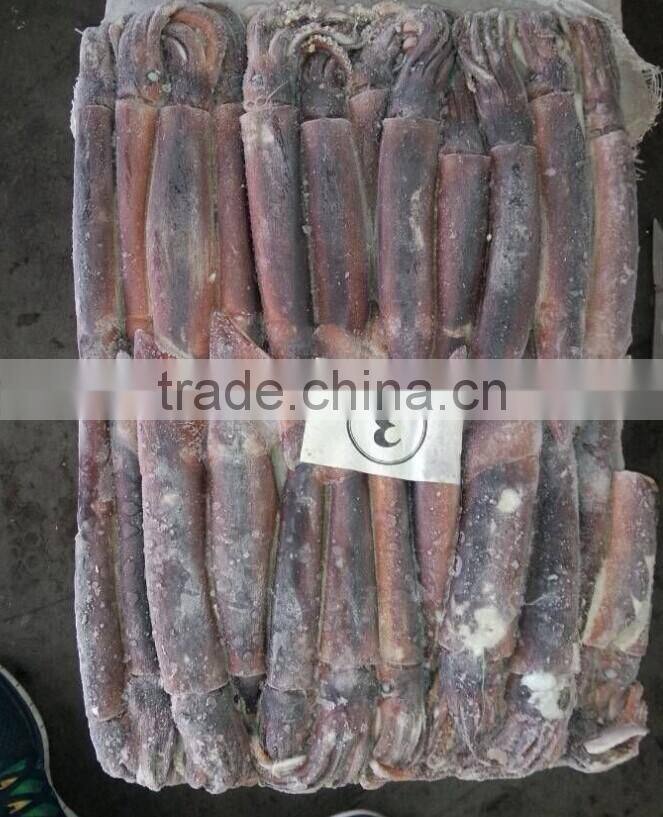 150-200g Frozen Illex squid