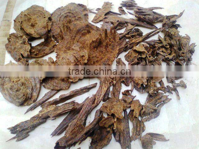 Royal wild Assam Indian Pure Agarwood oil