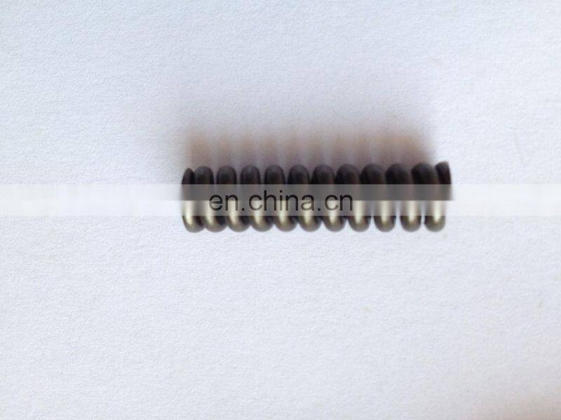 Fuel common rail injector spring 2434614020, 2434614010 ,2434614027, 2434619040, 2434619017