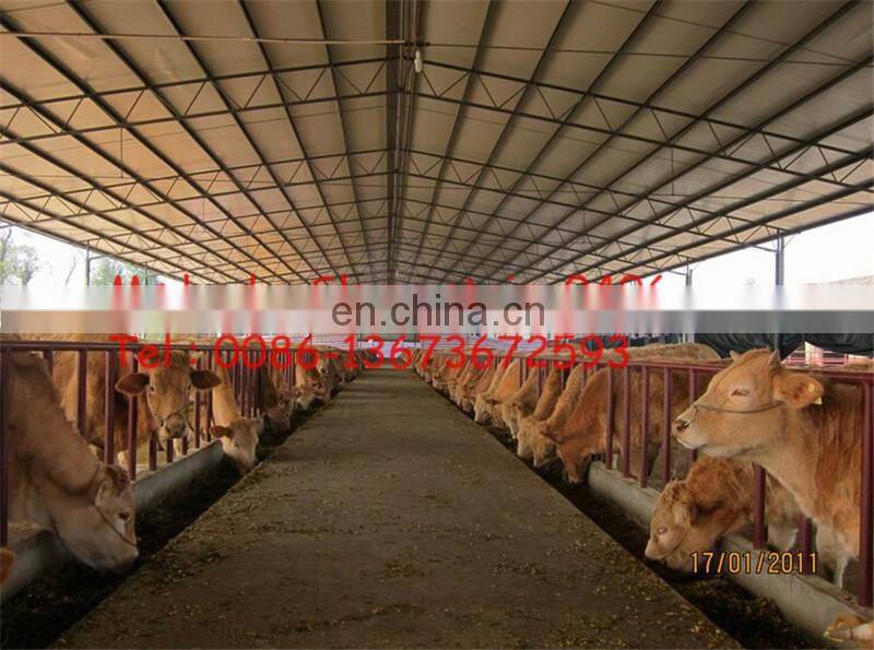Trade Assurance New technology China Manufacturing Tractor mounted forage harvester silage harvester