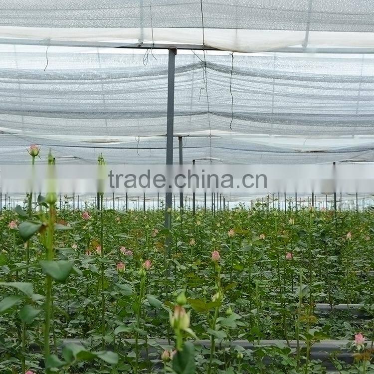 Color Carola table centerpieces single rose