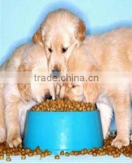 Multi-functional wide output range extruded cat feed production line 86-15003847743