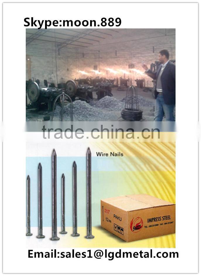 Good manufacturer of common nail/best price for nails