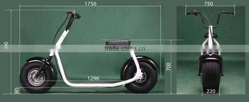 800w citycoco/seev/woqu 2 wheel self balancing handicap electric scooter