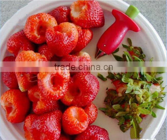 Factory Price ,Red,Strawberry Corer