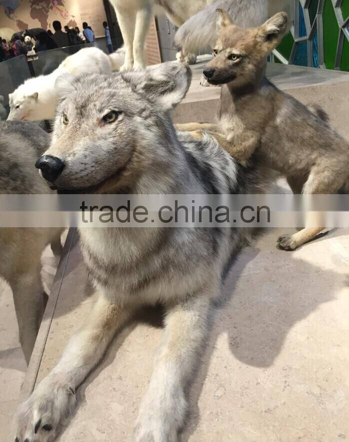Realist Art Sculpture Of Life Size Wolf Statue With Top- quality