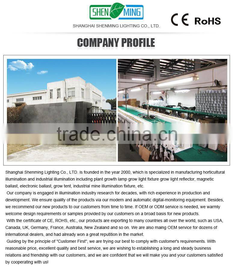 Powerful hydroponic kits 4inch 250mm carbon air filter