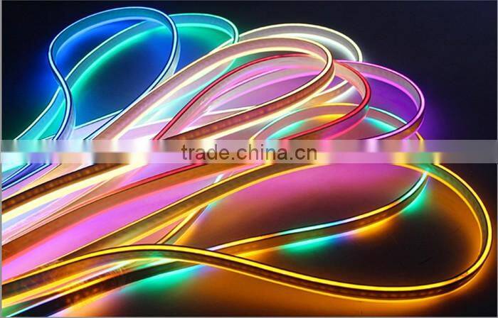 220v/ 12v Outdoor LED Flexible Neon Strip Light for Building Decoration