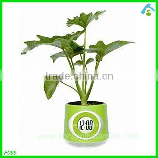 6 inch flower pots , decorative plant pots indoor