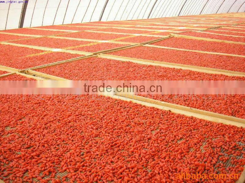 dried goji berries 350grains/100g