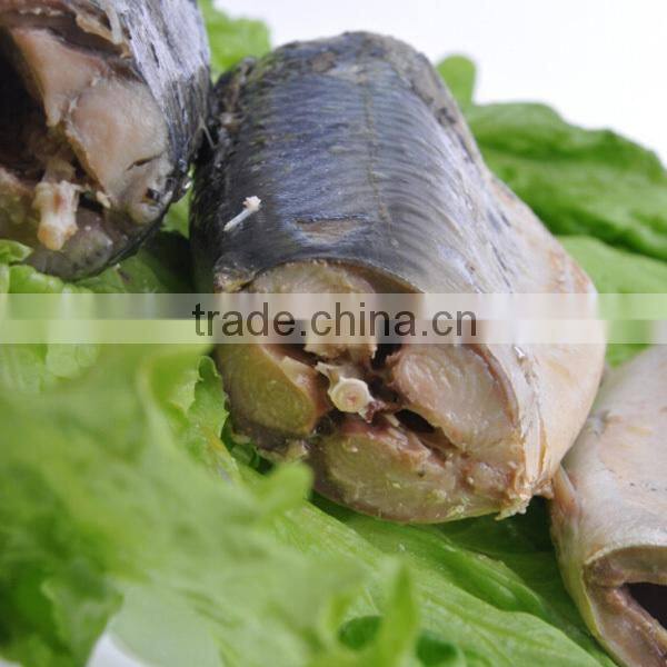 XINHAI deap sea wild mackerel canning fish wholesale