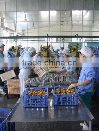 New crop canned mandarin in syrup