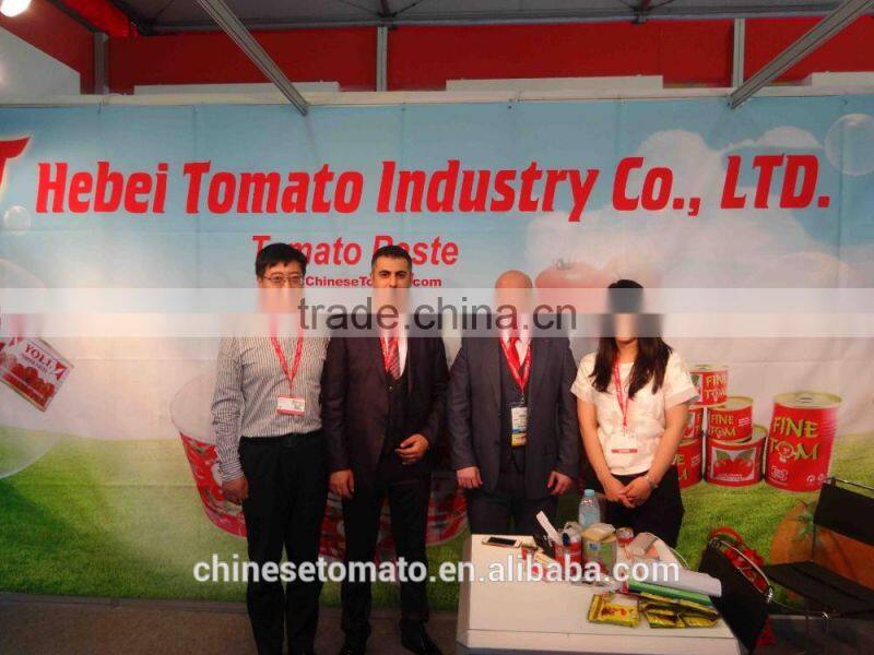 Tomato Ketchup tomato sauce OEM China manufacturer factory for Africa
