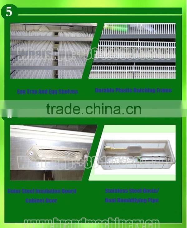 solar eggs incubator for hatching eggs in south africa