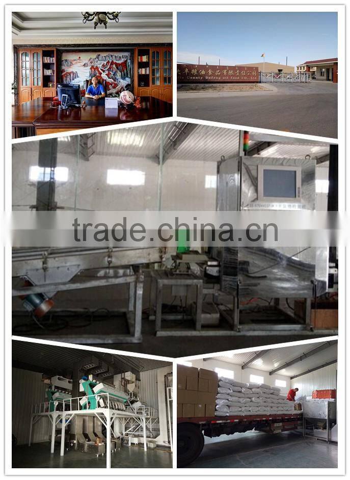 Pumpkin Seeds Kernels New Crop of 2016 AA