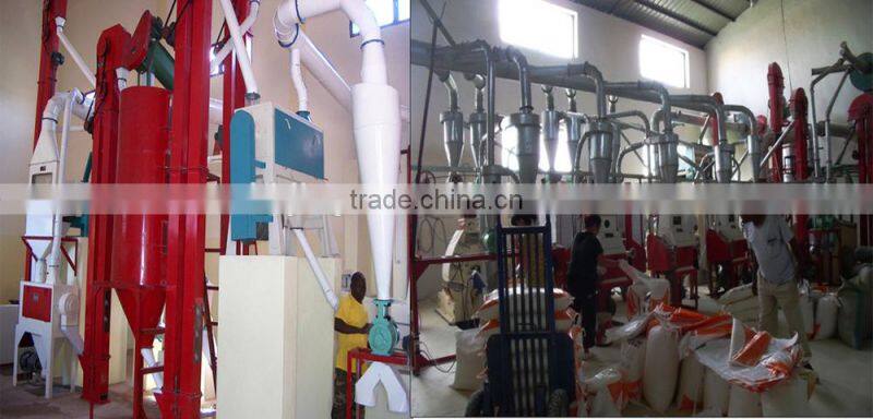 corn seed storage silo bins