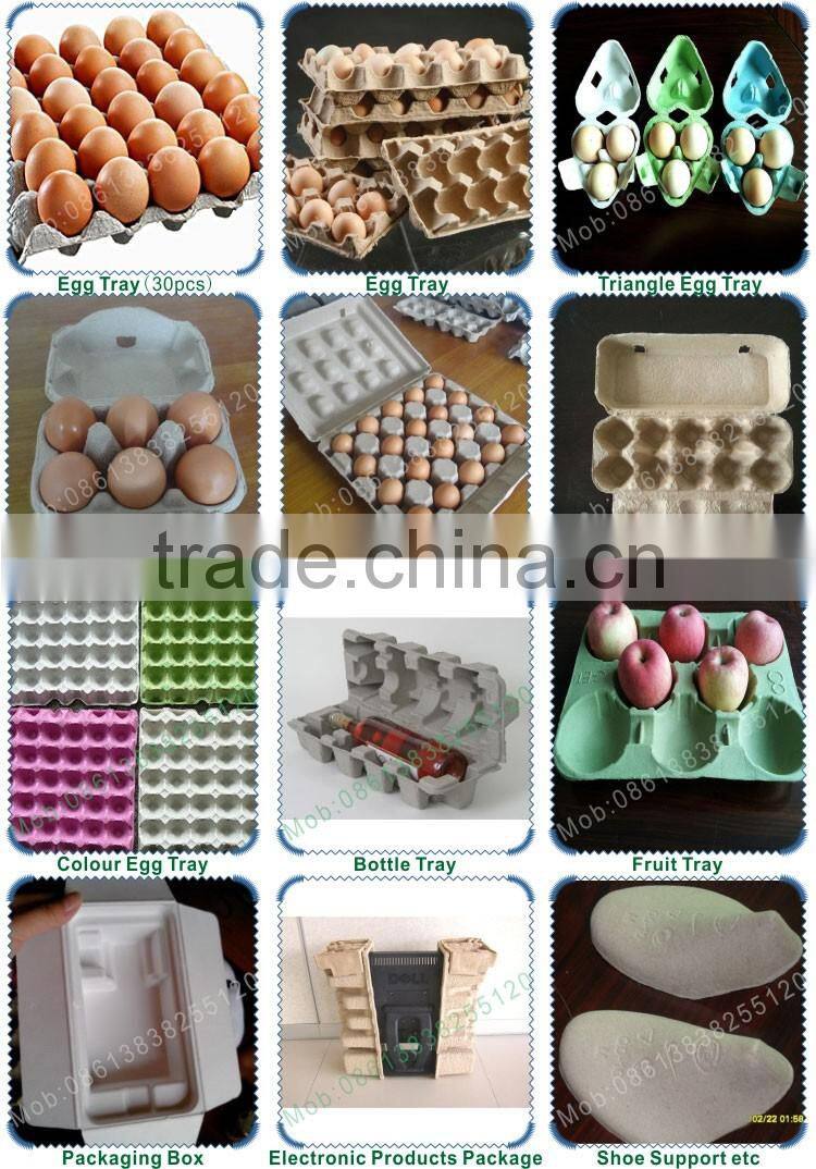 Machine Manufacturer Germany-Tec Paper Egg Tray Making Machine