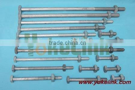 poleline hardware Hot Dip Galvanized square nut and bolt