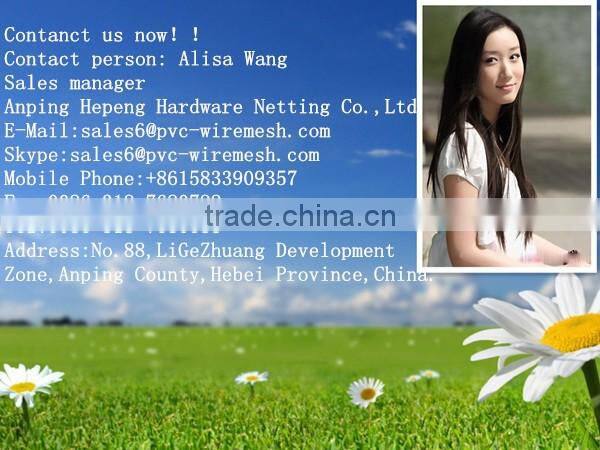 china alibaba Hot sale crowd barrier ( Manufacture Since 1998 )