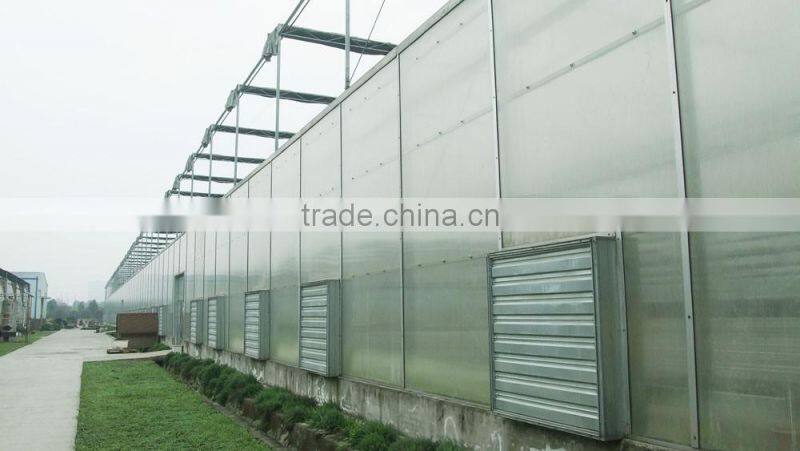 Fashion Corrugated Plastic Greenhouse Panels