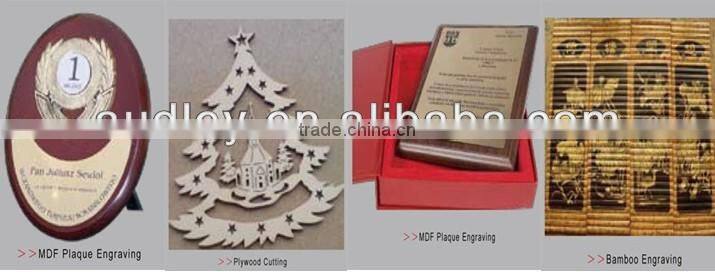 Popular laser engrving machine on the plastic-ADL 3040A