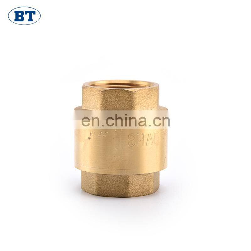 BT5002 brass check valve