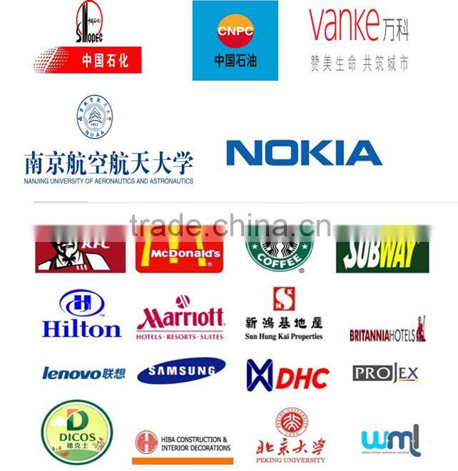 manual chain block/VN Chian hoist/pulley block