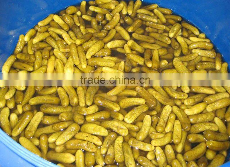 Best Selling Vietnamese Gherkins in brine