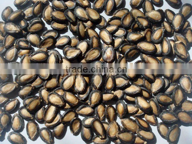 black water melon seeds new crop