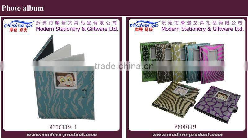 professional photo albums 4x6