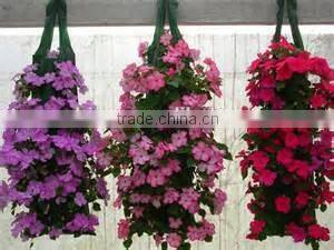 Plastic Vertical Wall Planter, Durable Hanging Wall Planter Bags,Hanging Wall Grow Bags With Pocket For Herb/Flower