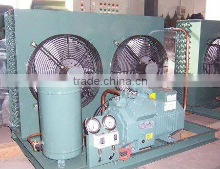 20ft/40ft refrigerated container,10ft cold room container