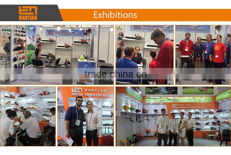 25CC Petrol Chainsaw Chain Saw 10" Inch Bar Tree Log Pruning Pruner