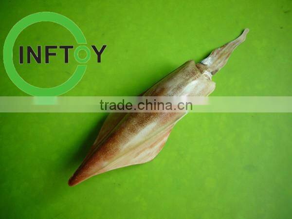 Custom inflatable airplane model for advertising