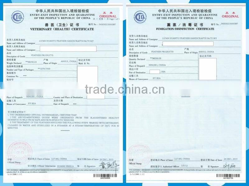 beautiful pink feather wing-6