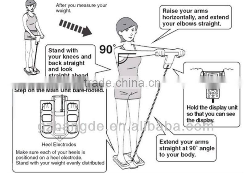 Hot sale!!! human body composition analysis machine beauty machine BD-C001