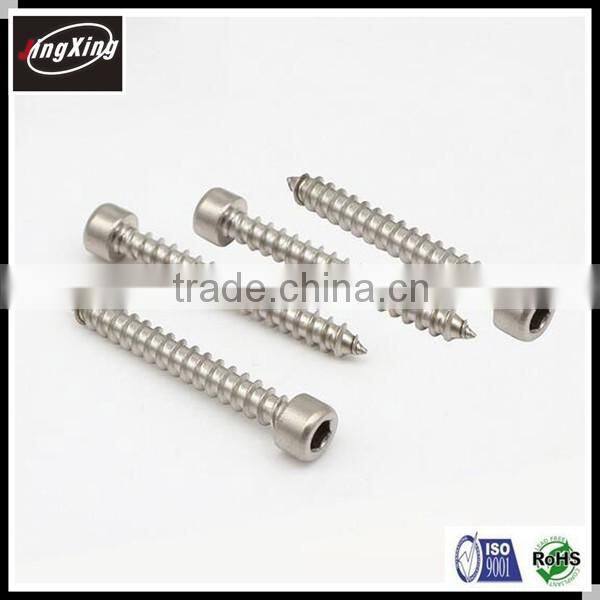 Stainless steel Hex Socket Cap Head Self Tapping Screw