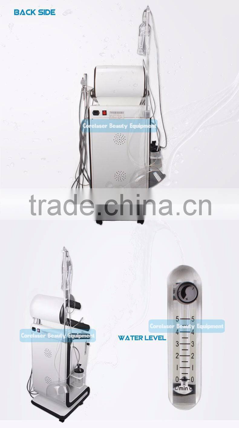 OME/ODM Portable Oxygen Jet Peel Beauty Machine