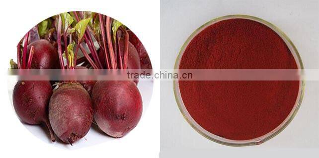 Supply red beet powder from red beet root betanin