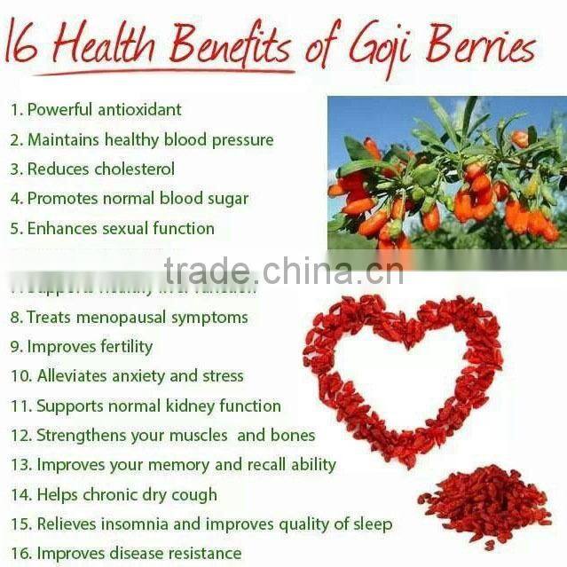 GMP certified organic goji berry all sizes
