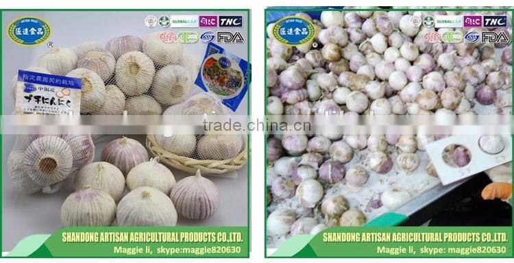 Good price of single clove garlic packing with ISO9001 certificate